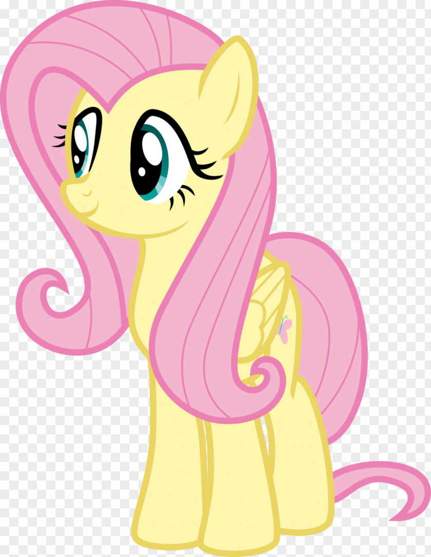 Flutter Fluttershy Rainbow Dash Pinkie Pie Pony PNG