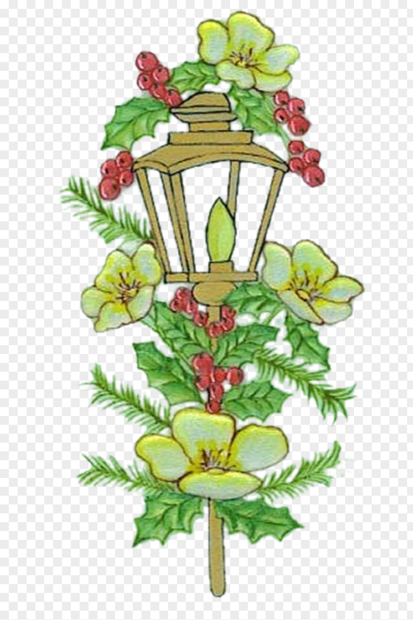 Lantern Flower Floral Design Floristry Candle PNG