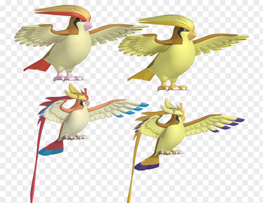 Pokemon Pidgeot Pokémon X And Y Pidgeotto Image PNG