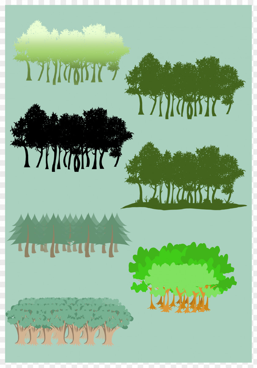 Rainforest Vector International Day Of Forests Silhouette PNG