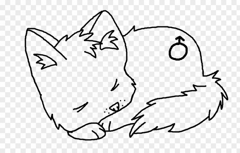 Cat Whiskers Snout Line Art /m/02csf PNG
