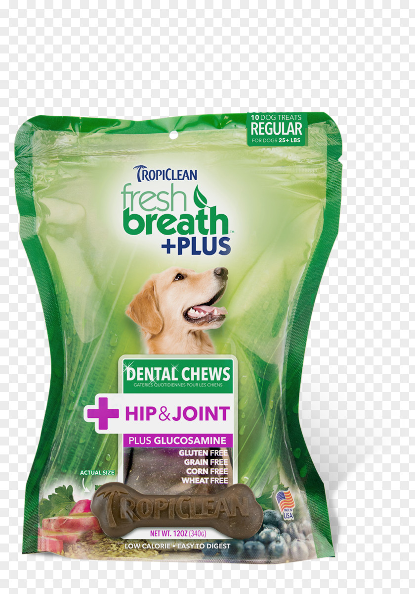 Dog Teeth Cleaning Dentistry Tooth Brushing PNG