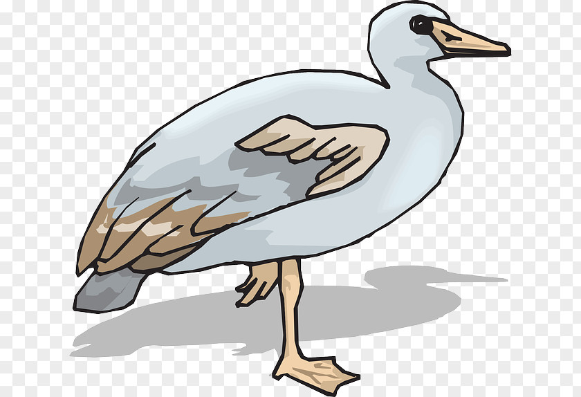 Duck Goose Clip Art PNG