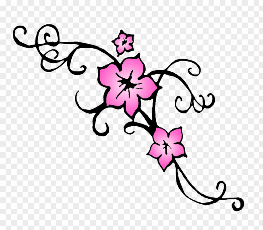 Flower Outline Pictures Cherry Blossom Drawing Watercolor Painting Clip Art PNG