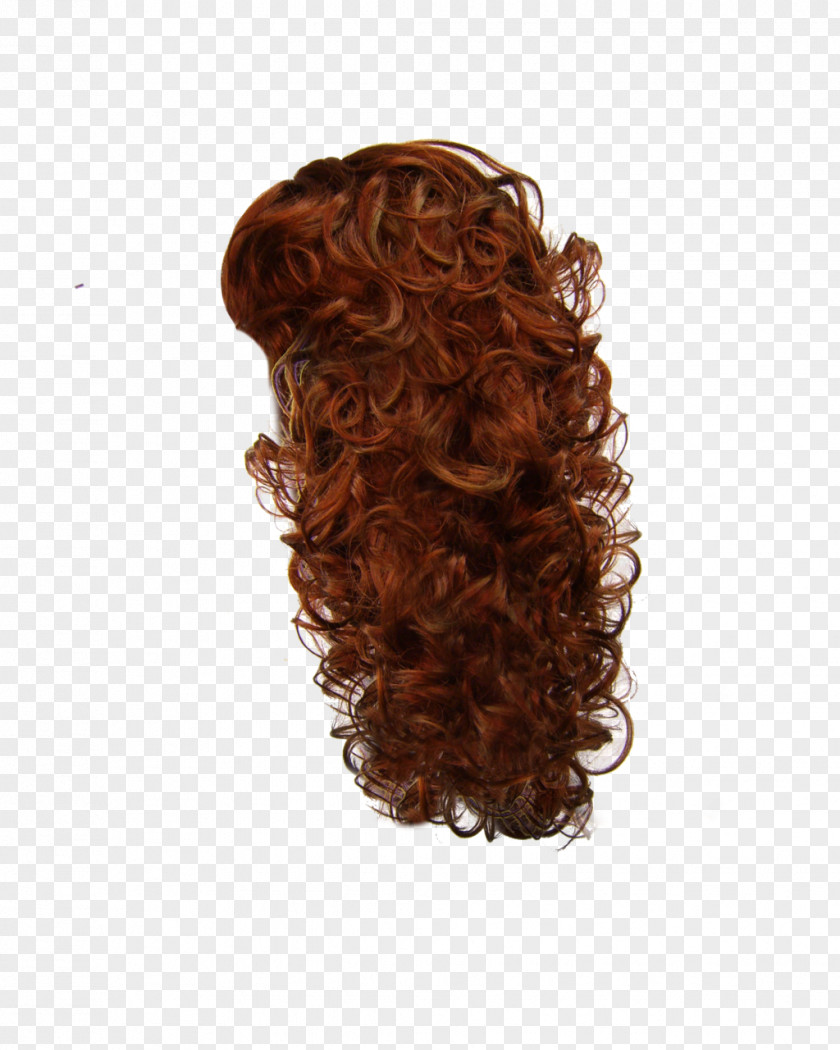 Hair Hairstyle Wig PNG
