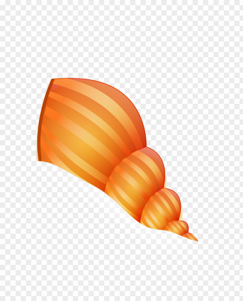 Vector Golden Marine Conch Sea Snail Organism PNG