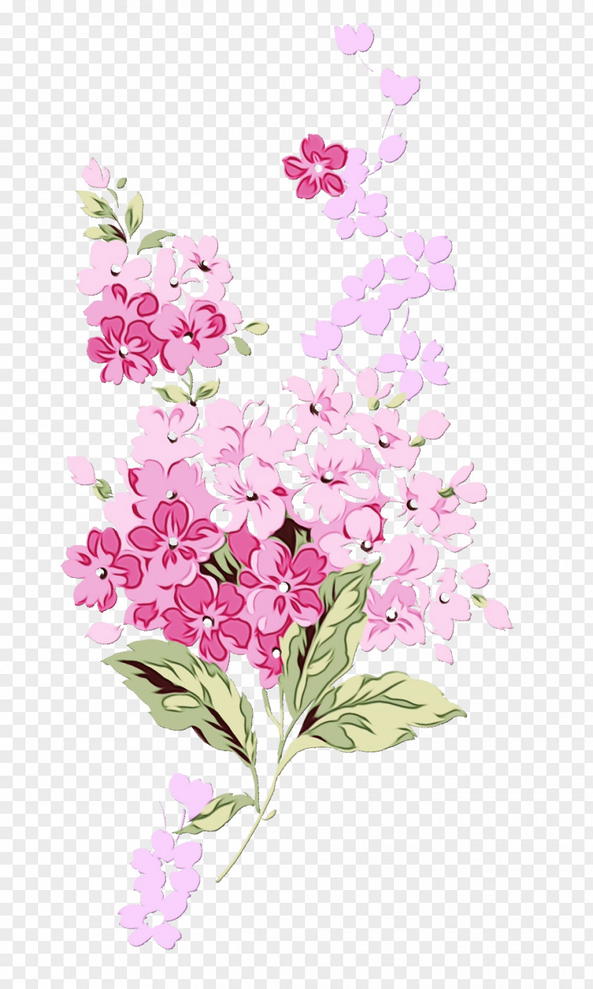 Cut Flowers Petal Flower Flowering Plant Lilac Pink PNG