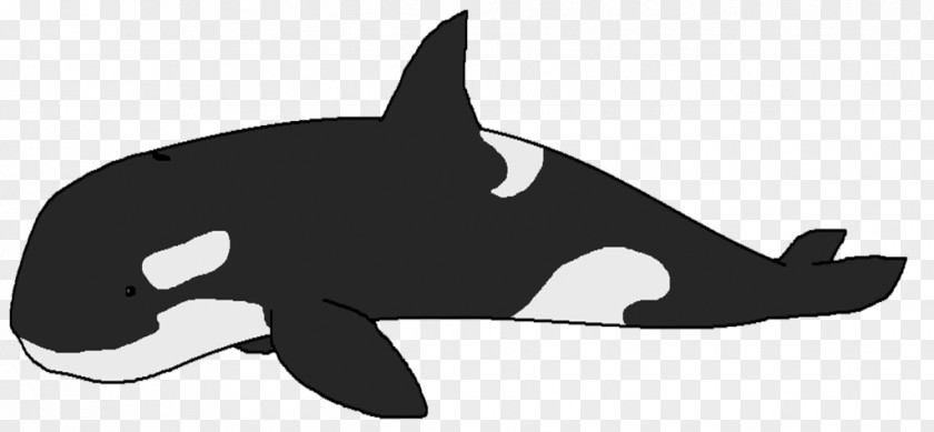 Killer Whale Clip Art The Image Cetacea PNG