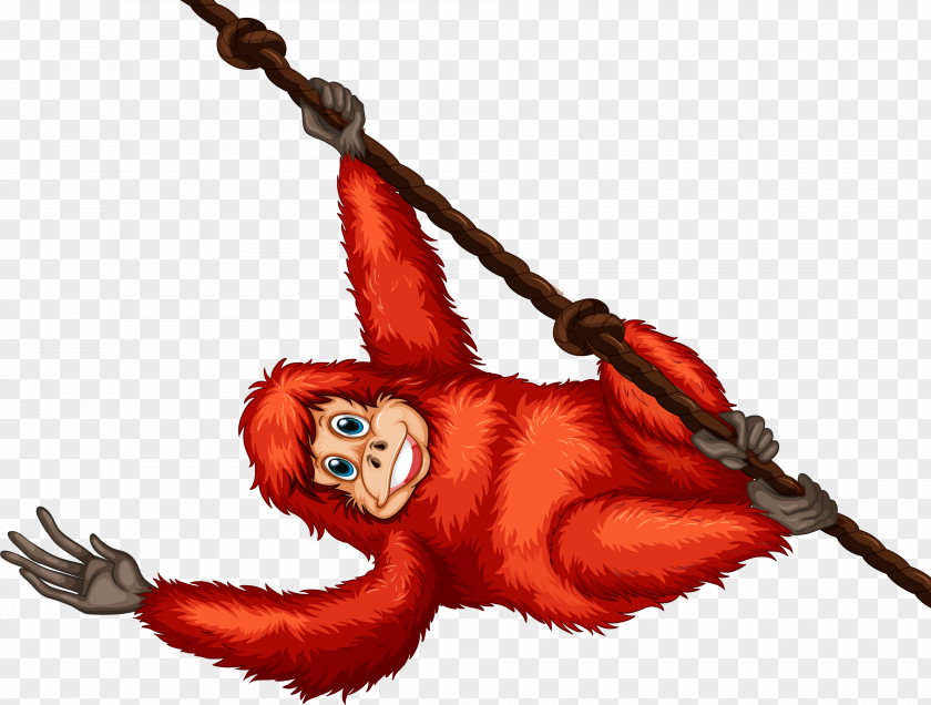 Orangutans Monkey Orangutan Cartoon Gorilla PNG