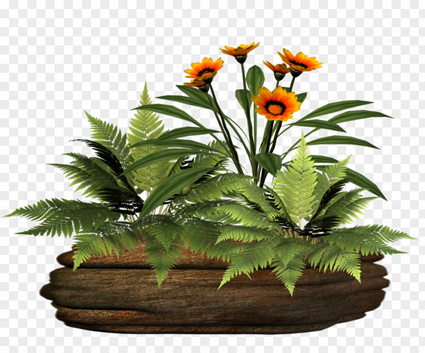 Plant Floral Design Flowerpot Tree PNG