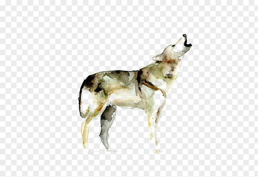 Watercolor Painted Wolf Gray Painting Printmaking Drawing PNG