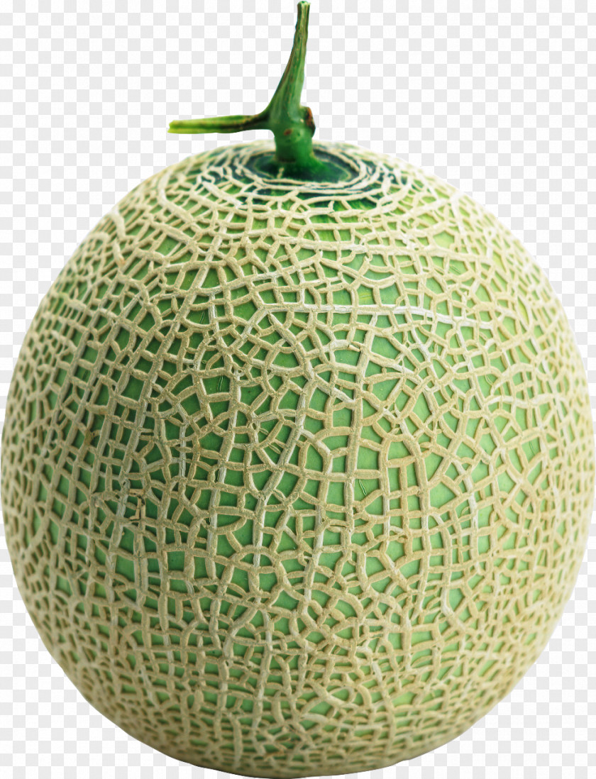 Melon Cantaloupe Honeydew Galia Cucumber PNG