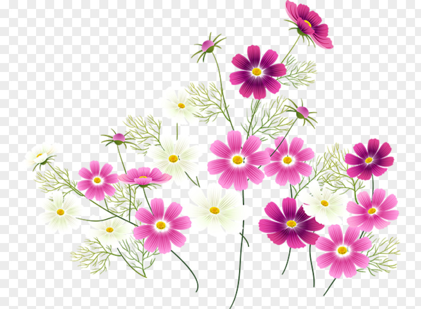 Pastel Flowers Flower Computer Software PNG