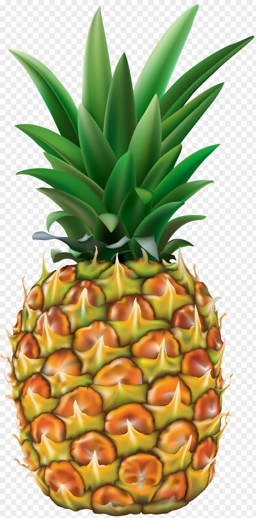 Pineapple Transparent Clip Art Image IPhone 6 Plus 8 X Juice 5s PNG