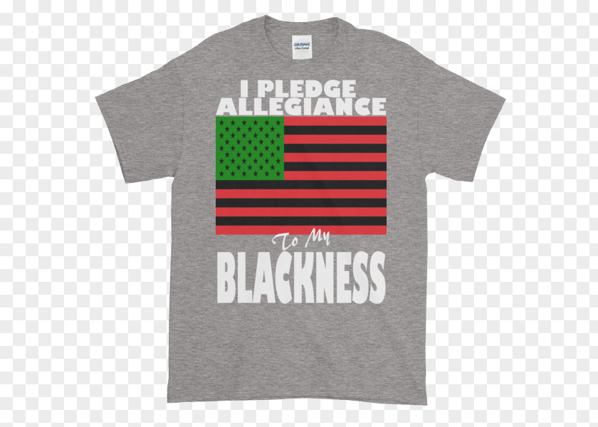 Pledge Of Allegiance T-shirt Sleeve Space Science Humour PNG