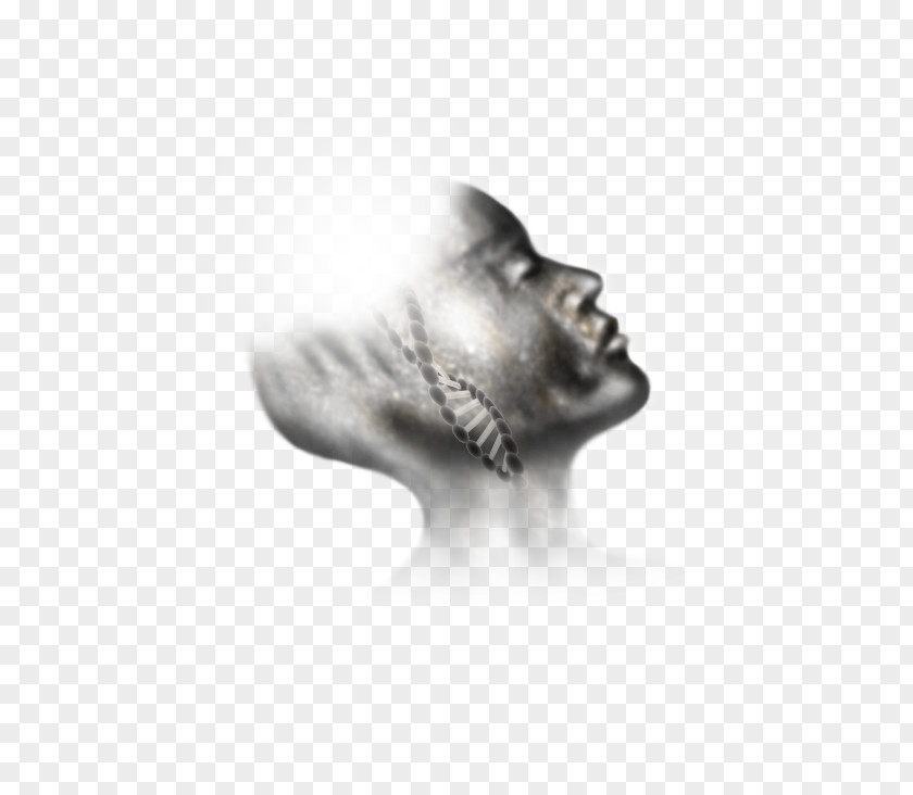 Silver Jaw White PNG