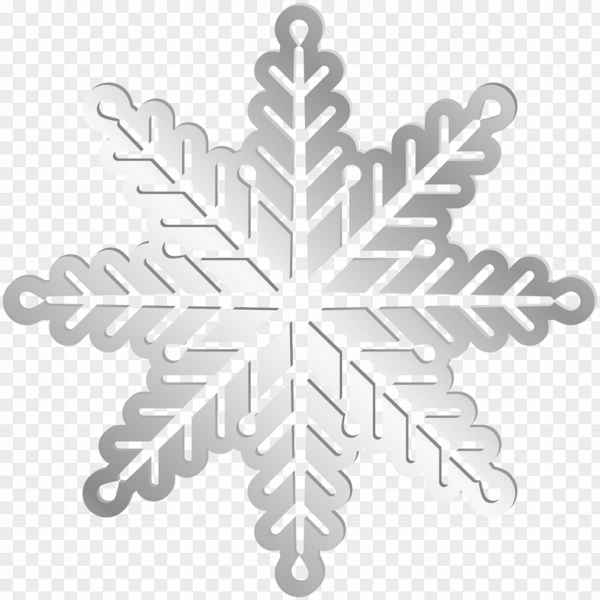 Snowflake Image Silver Gold PNG