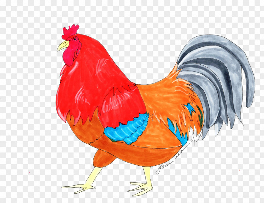 Comb Livestock Chicken Cartoon PNG