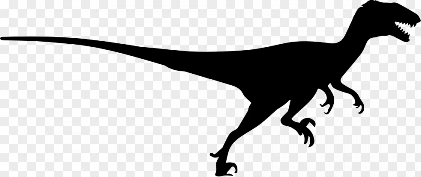 Dinosaur Velociraptor Deinonychus Tyrannosaurus Centrosaurus PNG