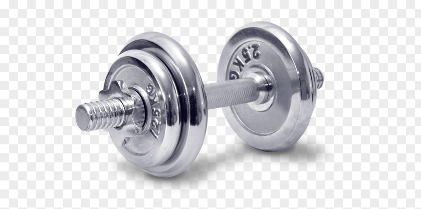 Dumbbell Weight Training Physical Fitness Exercise Equipment Personal Trainer PNG