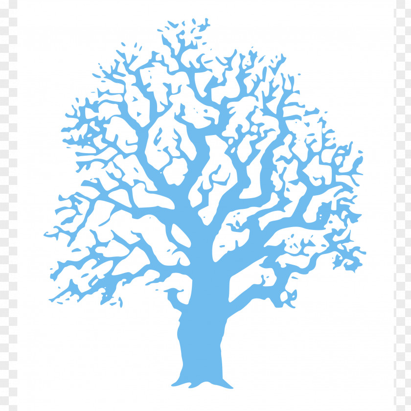 Familiy Clip Art Tree Vector Graphics Drawing PNG