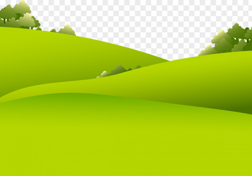 Grass Lawn Meadow PNG