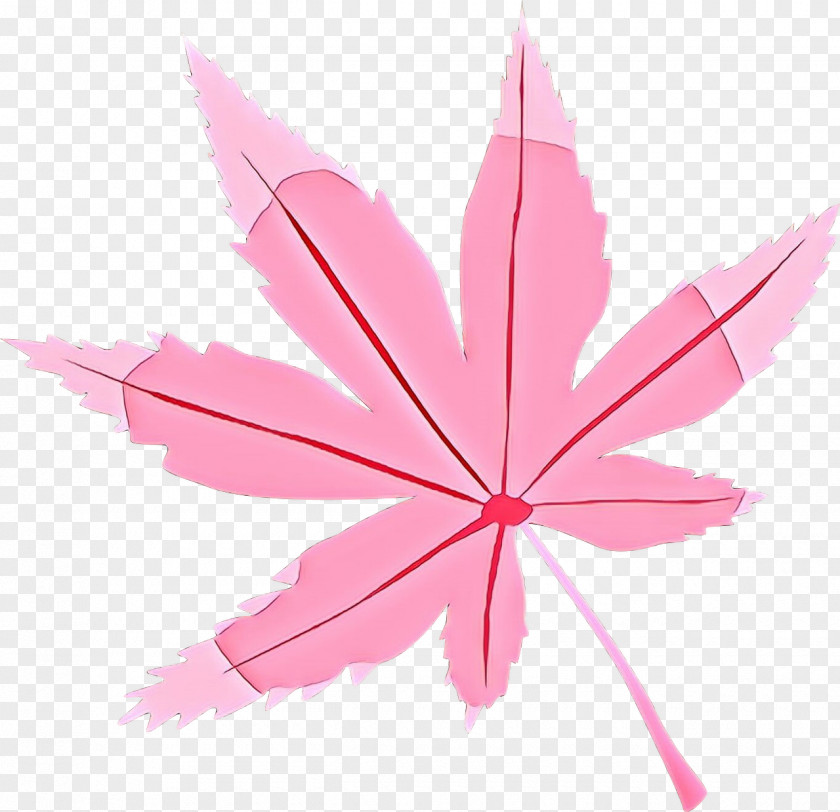 Maple Flower Pink Cartoon PNG