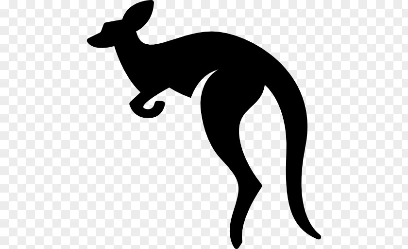 Kangaroo Australia Wallaby PNG