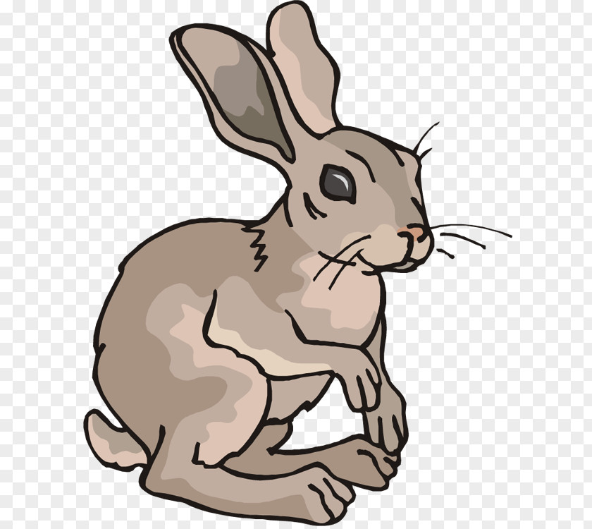 Peter Rabbit Arctic Hare Cartoon Clip Art PNG