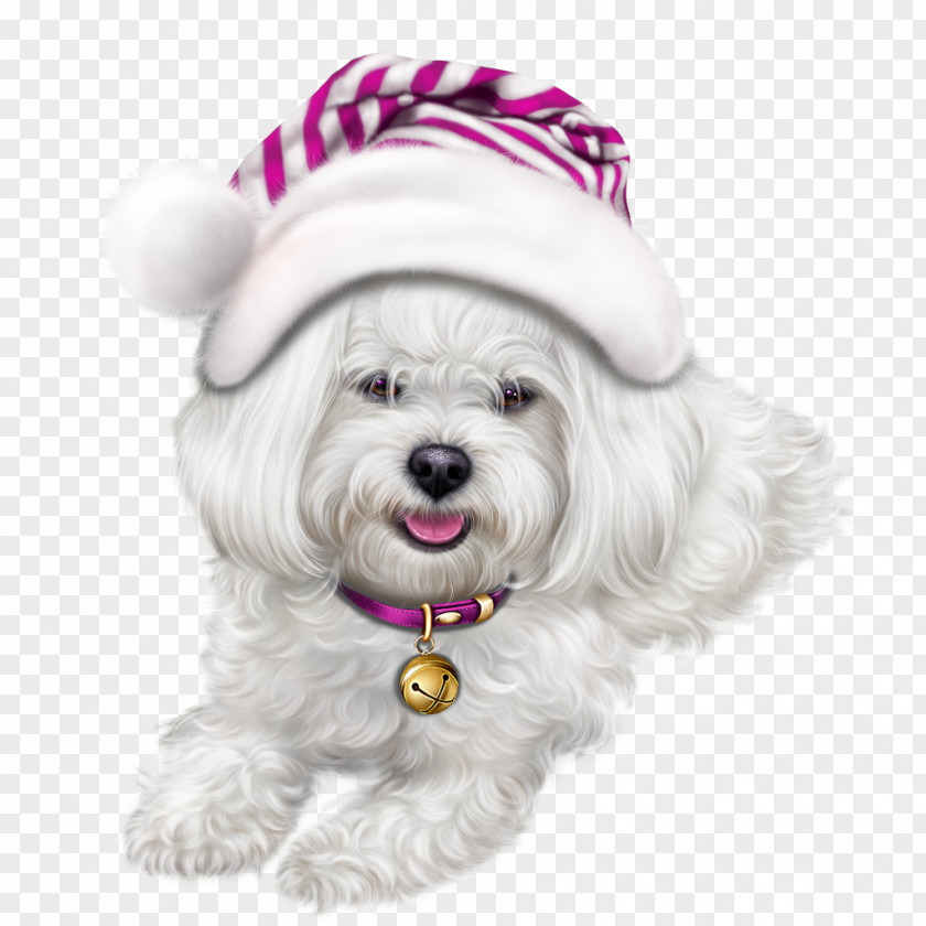 Puppy Lhasa Apso Symbol Clip Art PNG