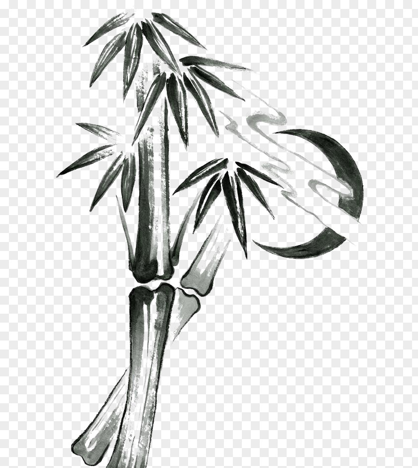 Bamboo Vector Ink Wash Painting Black And White Brush PNG