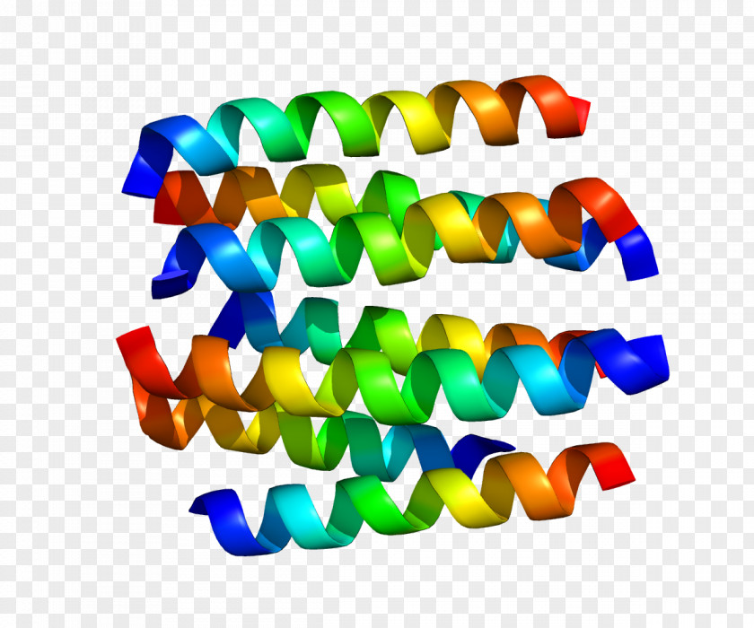 Dopamine Receptor D2 G Protein–coupled PNG