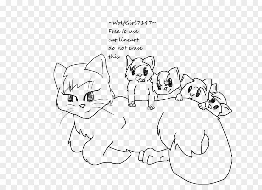Kitten Whiskers Cat Line Art Sketch PNG