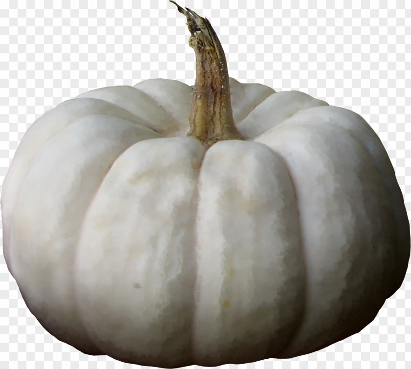 Old White Pumpkin Calabaza Winter Squash Wax Gourd PNG