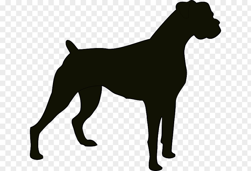 Puppy Boxer Jack Russell Terrier English Cocker Spaniel Clip Art PNG