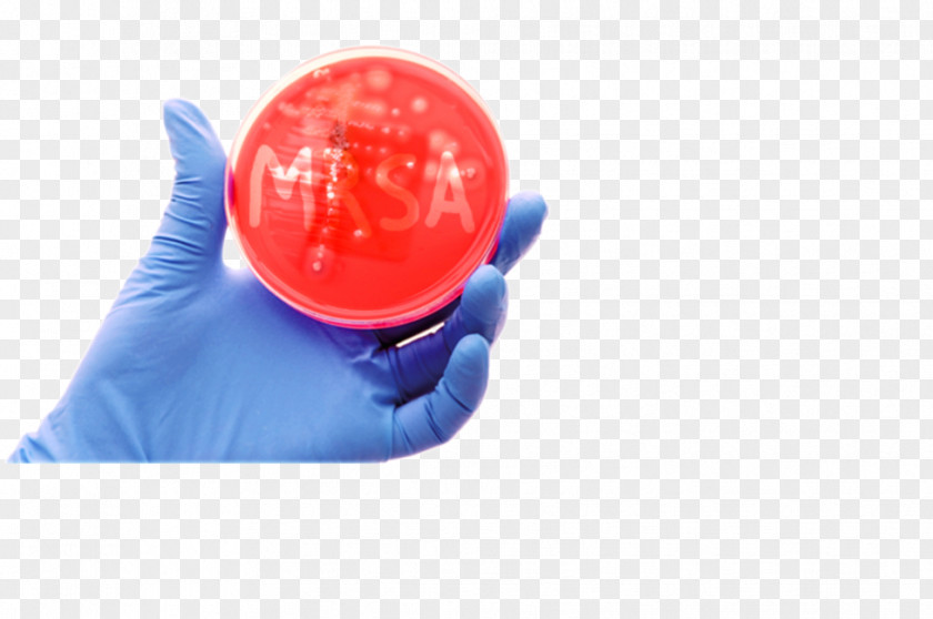 Staph Bacteria MRSA Super Bug Multiple Drug Resistance Skin Plastic PNG