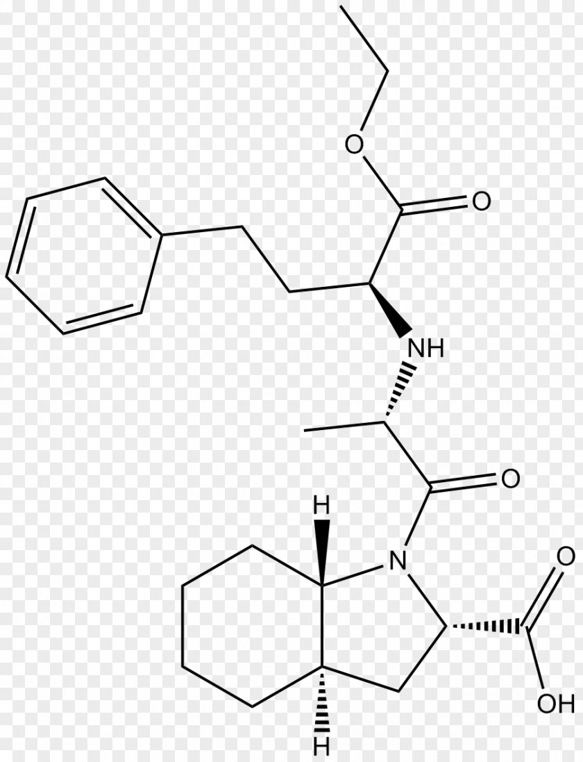 Angiotensin-converting Enzyme Protease ACE Inhibitor PNG
