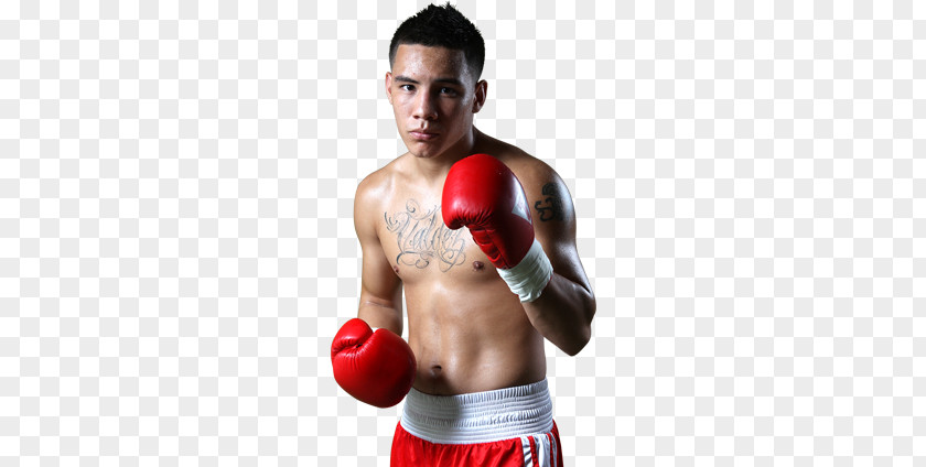 Boxing Óscar Valdez Professional World Organization Glove PNG
