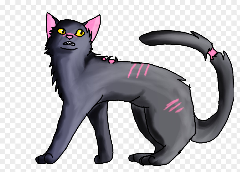 Cat Black Warriors Mistystar Stonefur PNG