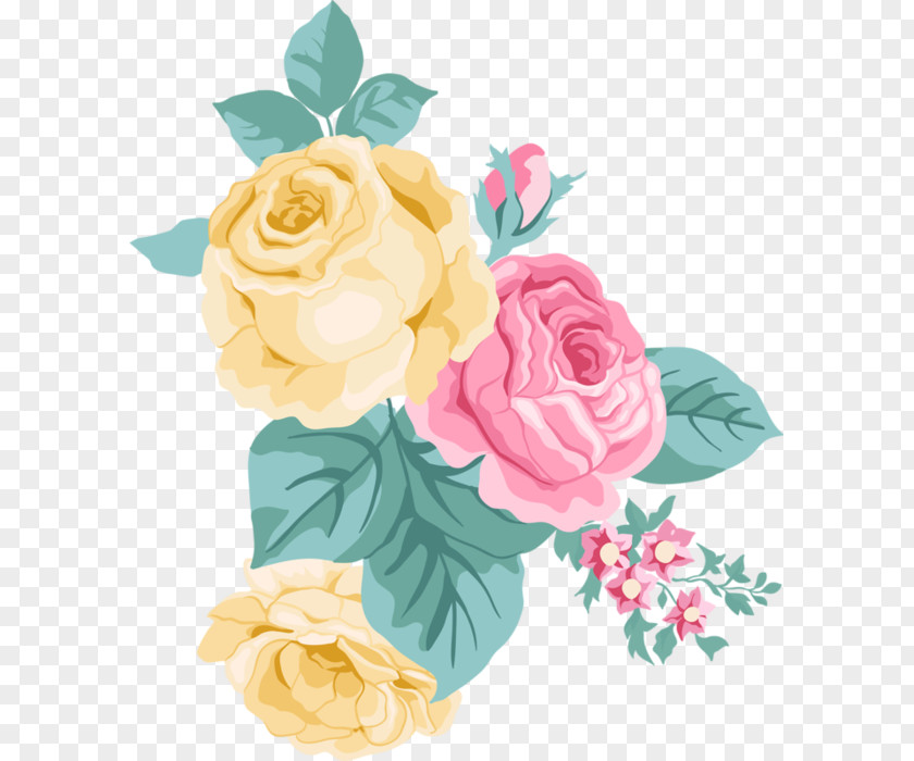 Flower Garden Roses Centifolia Cut Flowers Damask Rose PNG