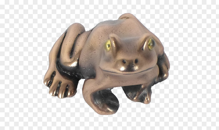Frog Figurine Terrestrial Animal Carnivora PNG