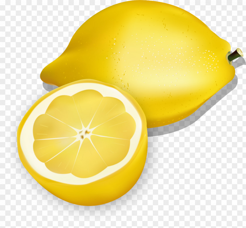 Lemon Citron Illustration PNG
