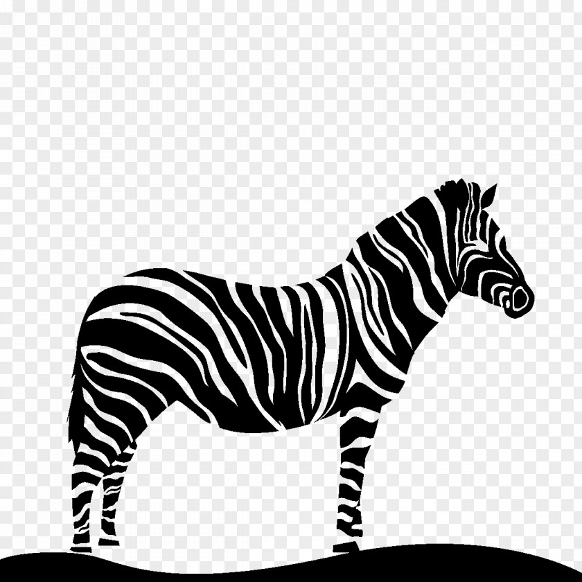 M Cat Zebra Tiger Quagga Black & White PNG