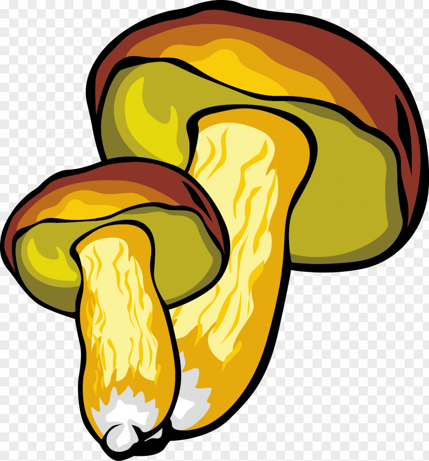 Mushrooms Fungus Image Tracing Clip Art PNG
