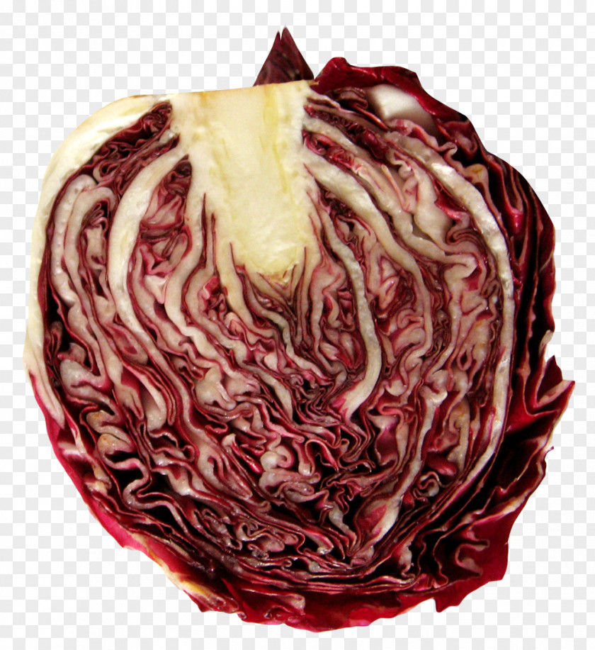 Radicchio Half Chicory Vegetable PNG