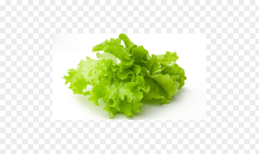 Salad Iceberg Lettuce Vegetable Herb Fruit PNG