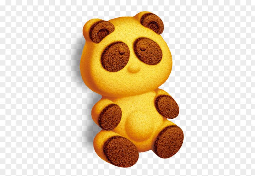 Bear Cookies Pattern Cookie Koalas March If(we) Clip Art PNG