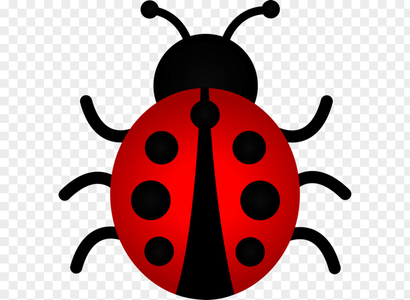 Beetle Ladybird The Ladybug Clip Art PNG