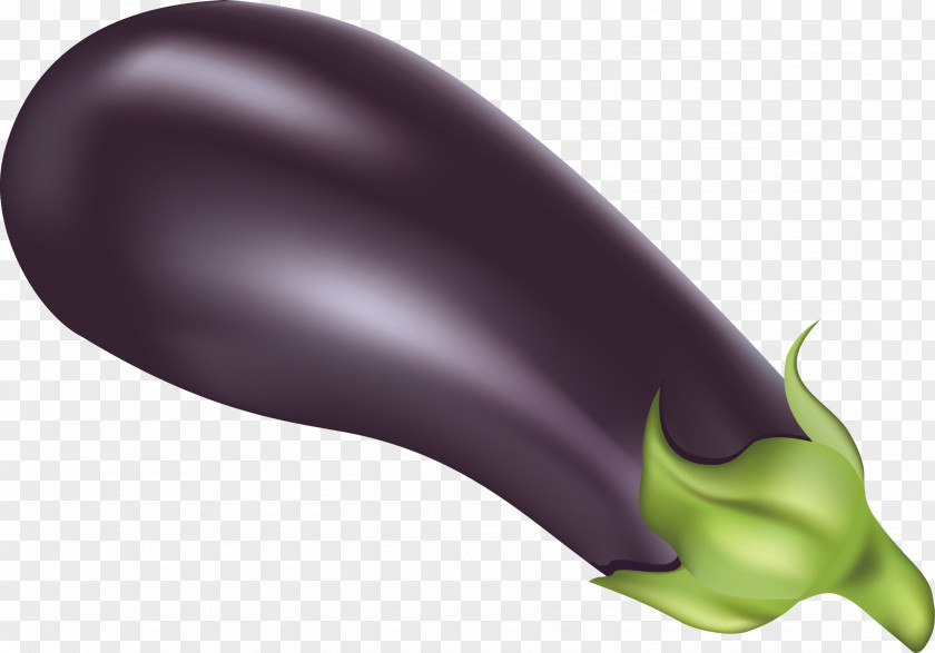 Eggplant Vector Vegetable Food Fruit PNG