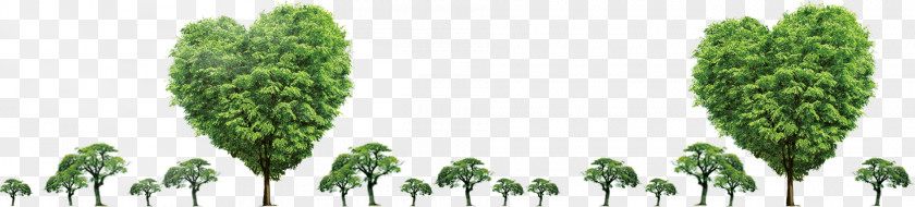 Plant Tree Arbor Day Download PNG